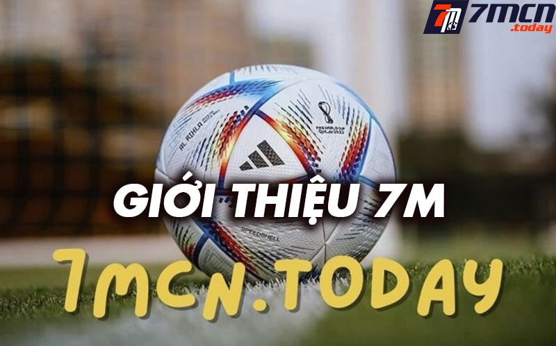 Giới thiệu vaysport.com